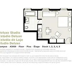 Lsa Campos By Numa *